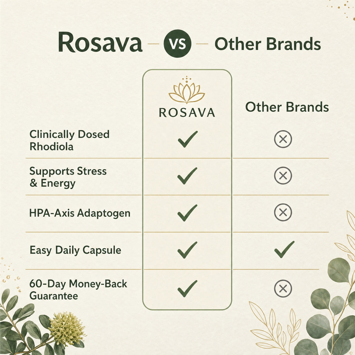 Rosava Rhodiola Rosea