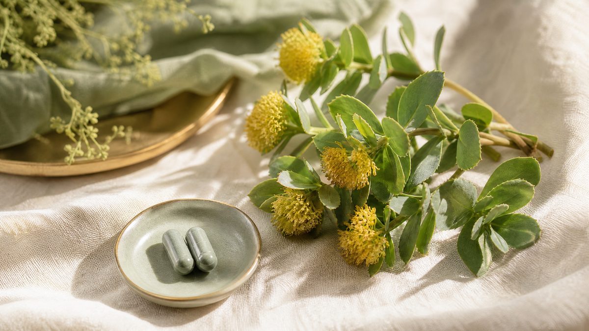 Rhodiola turns the alarm off